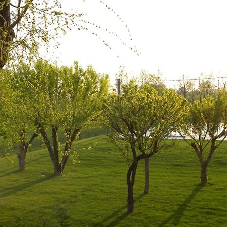 Agriturismo Feliciana Pozzolengo Exterior photo