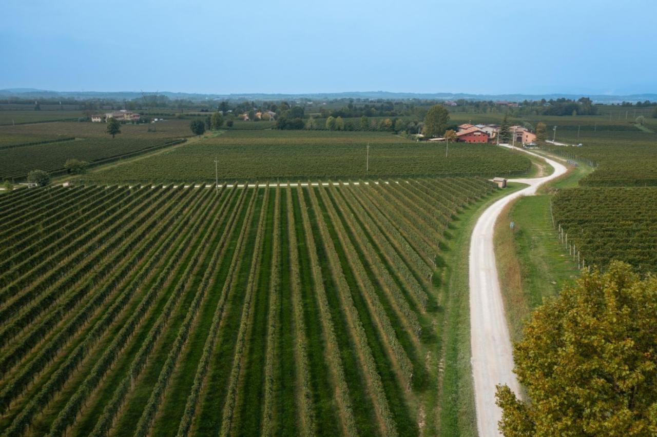 Agriturismo Feliciana Pozzolengo Exterior photo