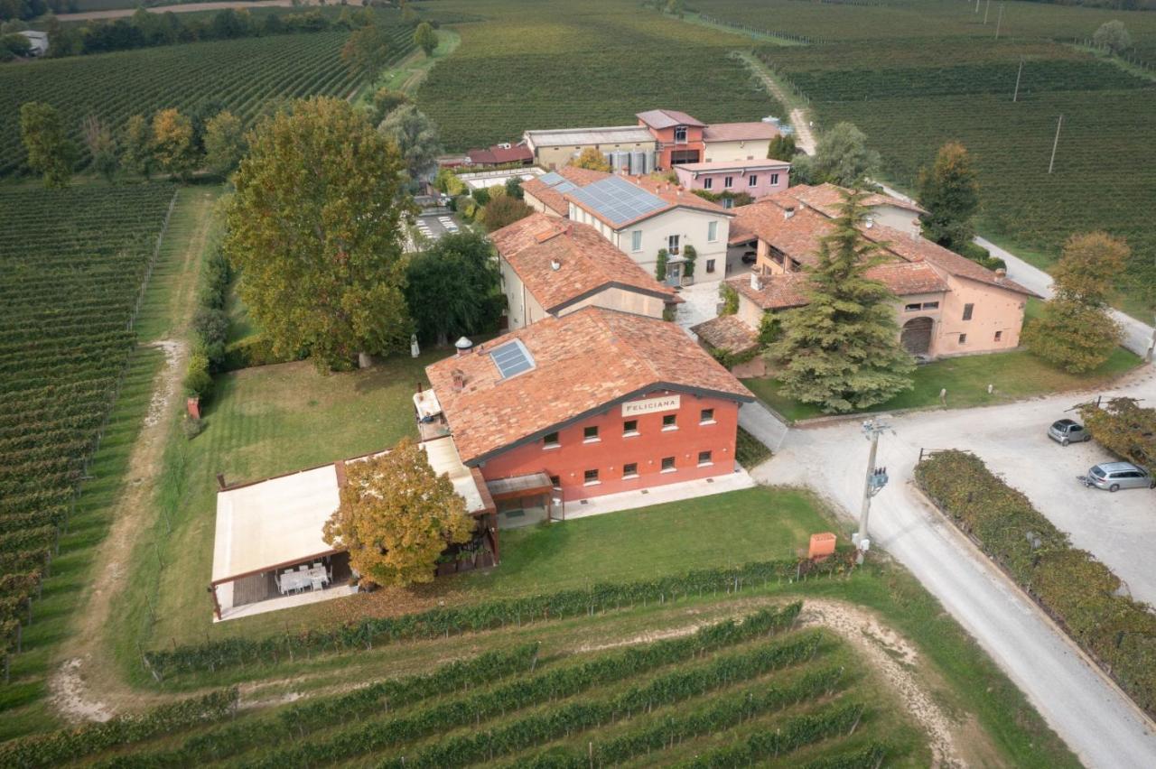 Agriturismo Feliciana Pozzolengo Exterior photo