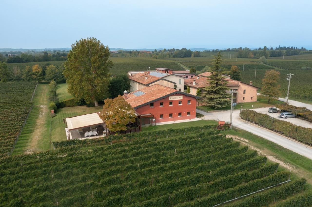 Agriturismo Feliciana Pozzolengo Exterior photo