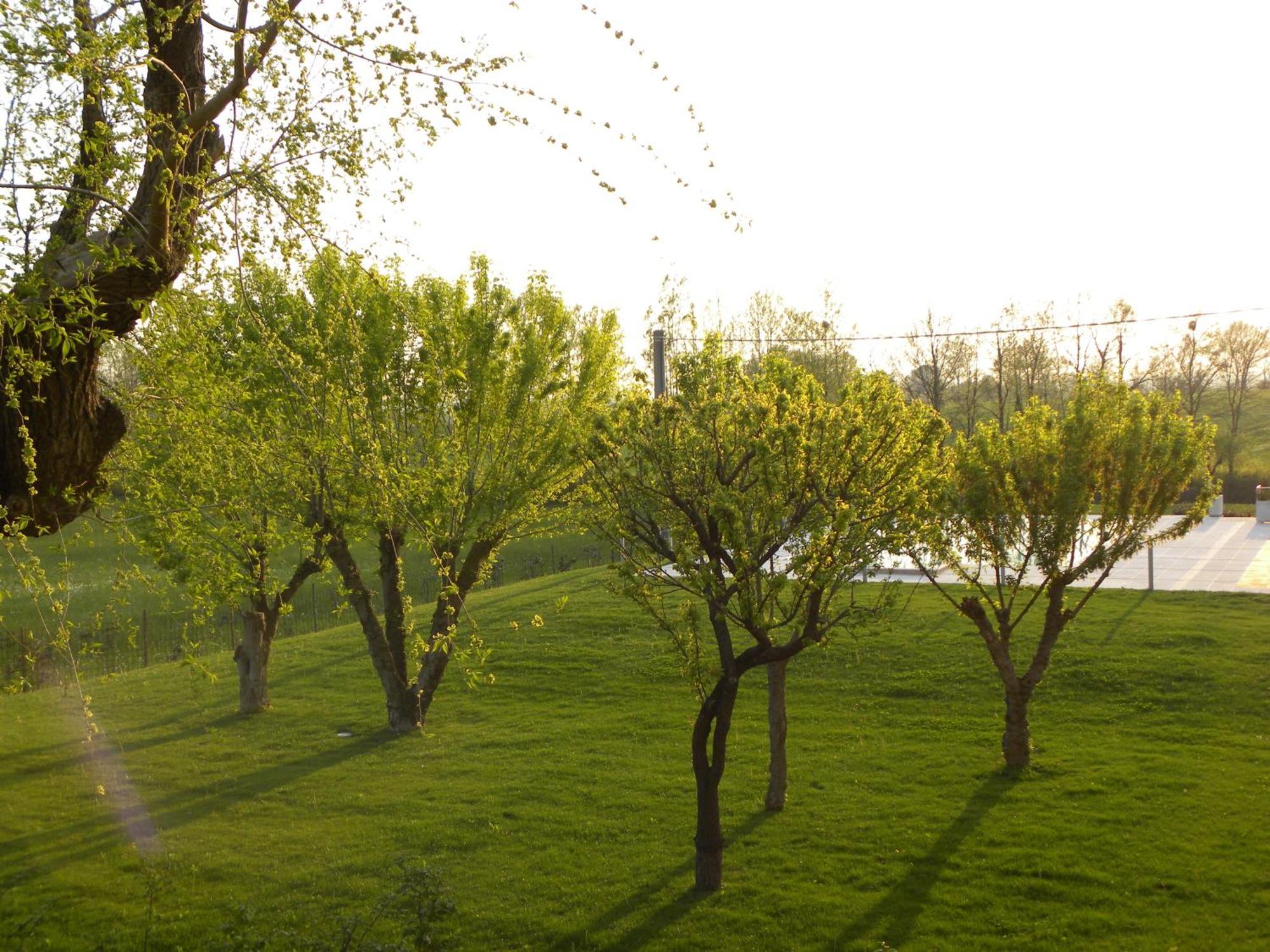 Agriturismo Feliciana Pozzolengo Exterior photo
